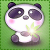 Panda_bear